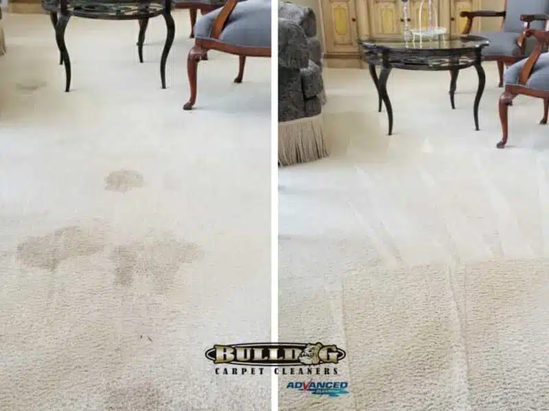 Carpet Cleaning Frankfort IL